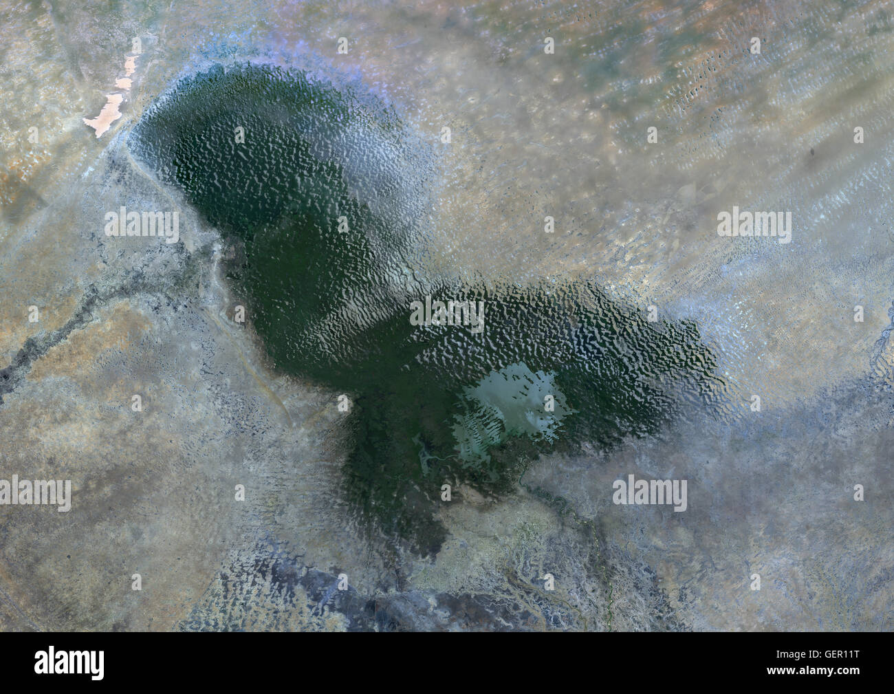 Satellite view of Lake Chad in 2014. The water is in light green, the dark green shows swamp areas. This image was taken by Landsat 8 satellite. Stock Photo