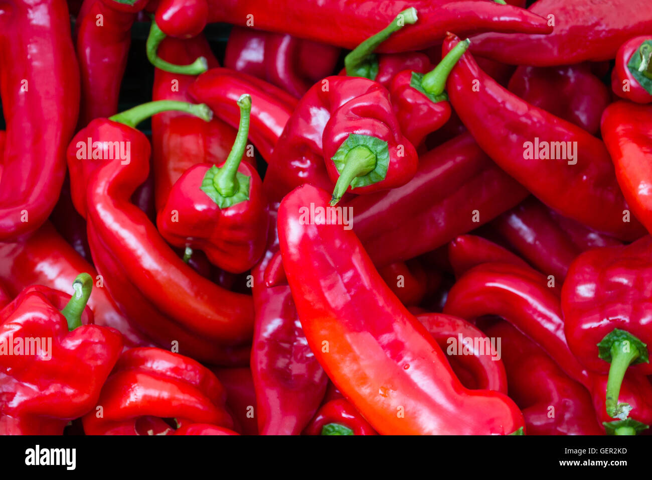 red chili peppers closeup - selective focus Stock Photo