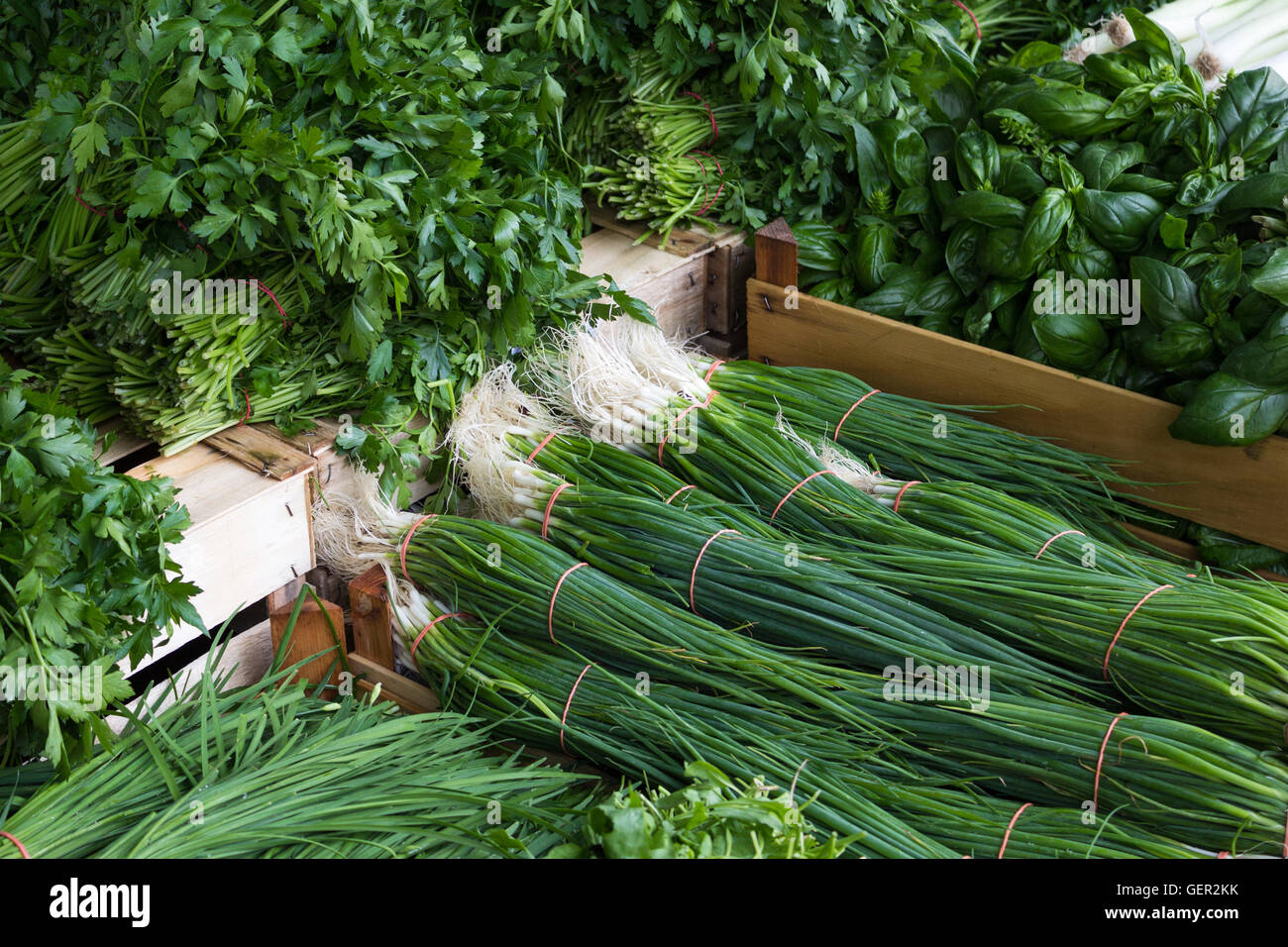 food market - box of fresh, mixed herbs and spring onions Stock Photo