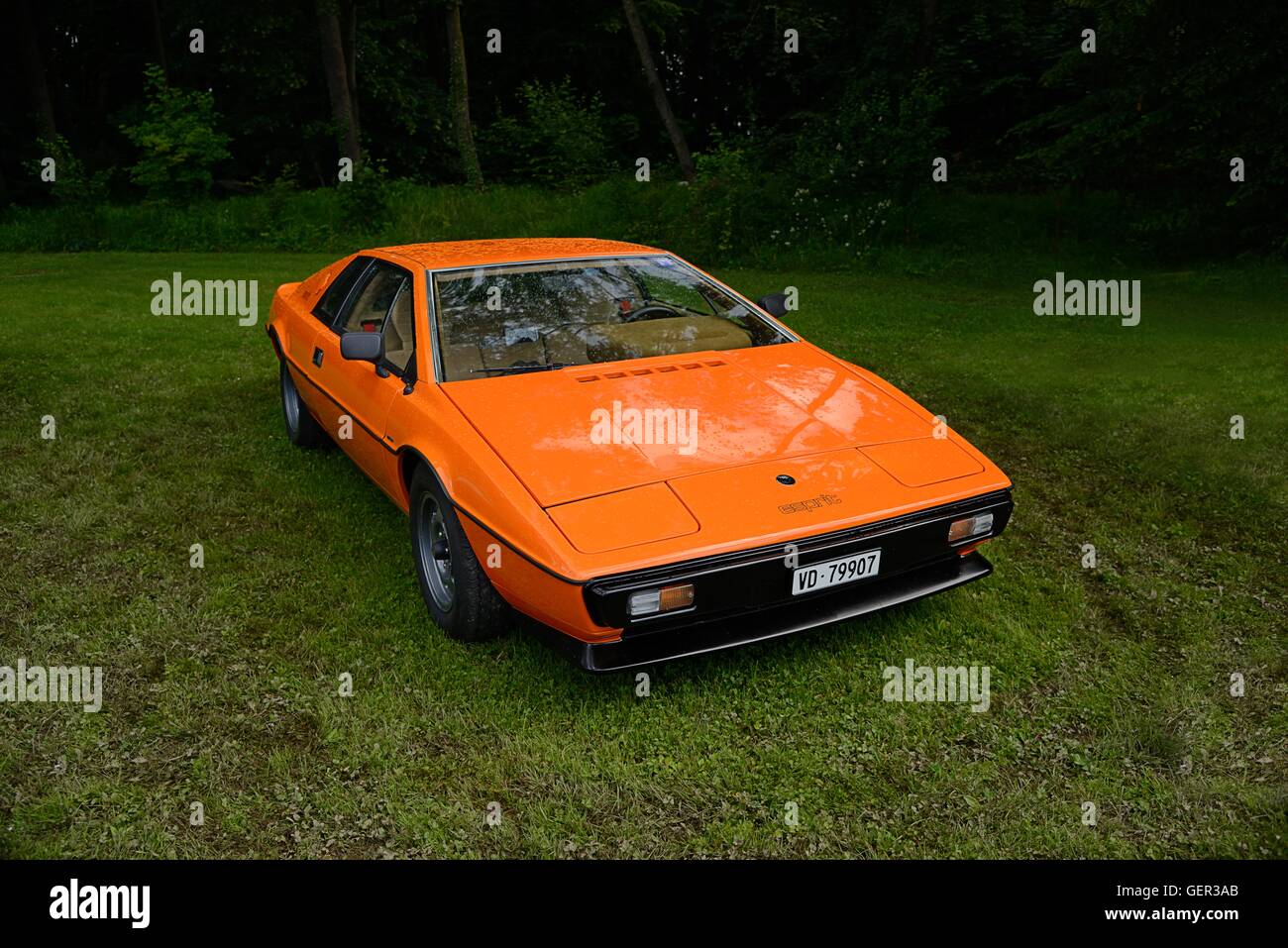 Orange Lotus Esprit Series One parked on grass with trees behind Stock Photo