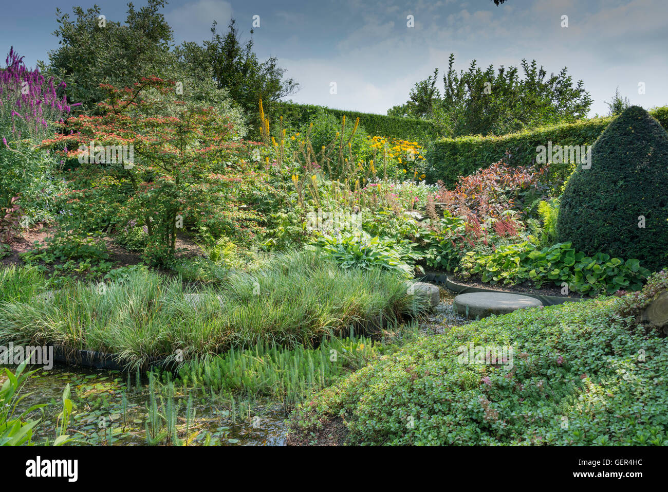 Garden of wild flowers hi-res stock photography and images - Alamy