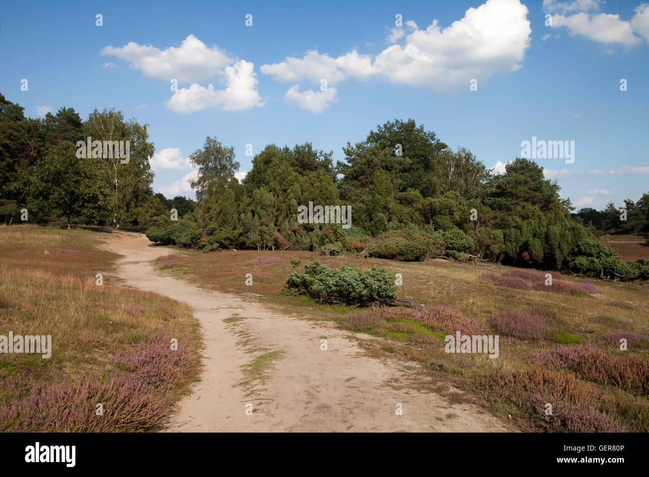 Arenaceous hi-res stock photography and images - Page 3 - Alamy