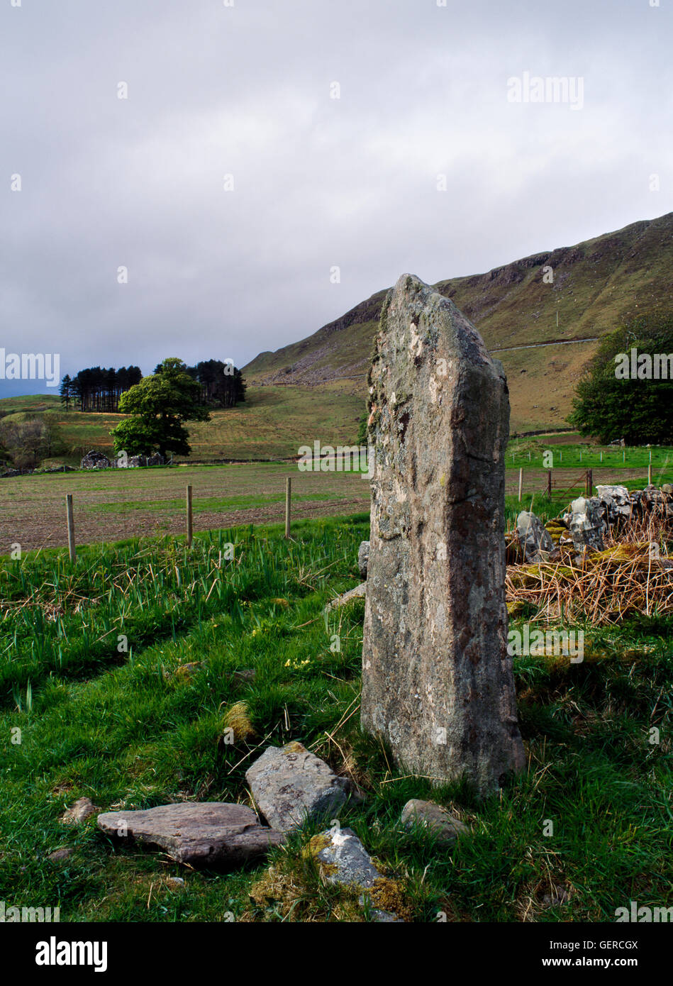 Bronze Age monolith marked with Christian symbols at Camas nan Geall, Ardnamurchan, beside C18th burial enclosure of Campbells of Ardslignish. Stock Photo
