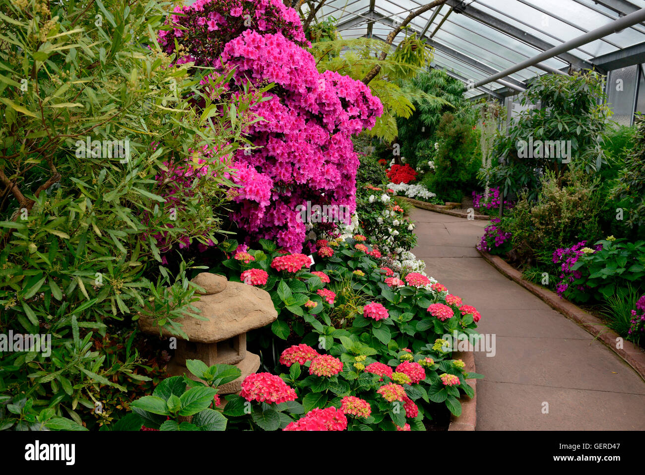 Azaleenhaus, Wilhelma, Zoologisch-Botanischer Garten ...