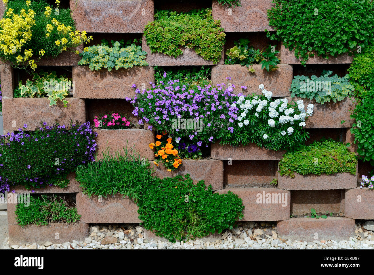 Mauer Blumen High Resolution Stock Photography and Images - Alamy