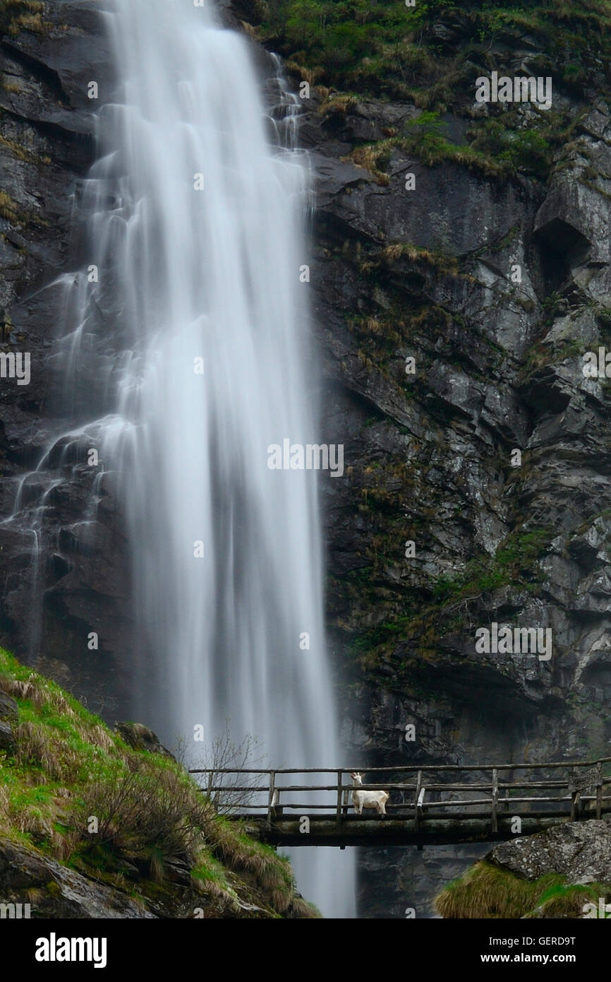 Froda-Wasserfall, Valle Verzasca bei Sonogno, Froda, Tessin, Schweiz Stock Photo