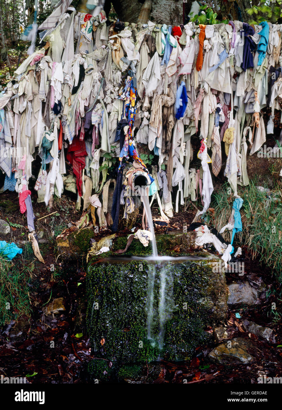 Munlochy clouty well: strips of cloth & children's clothes festoon trees, fence & outflow basin beside A832 on the Black Isle, N of Inverness. Stock Photo