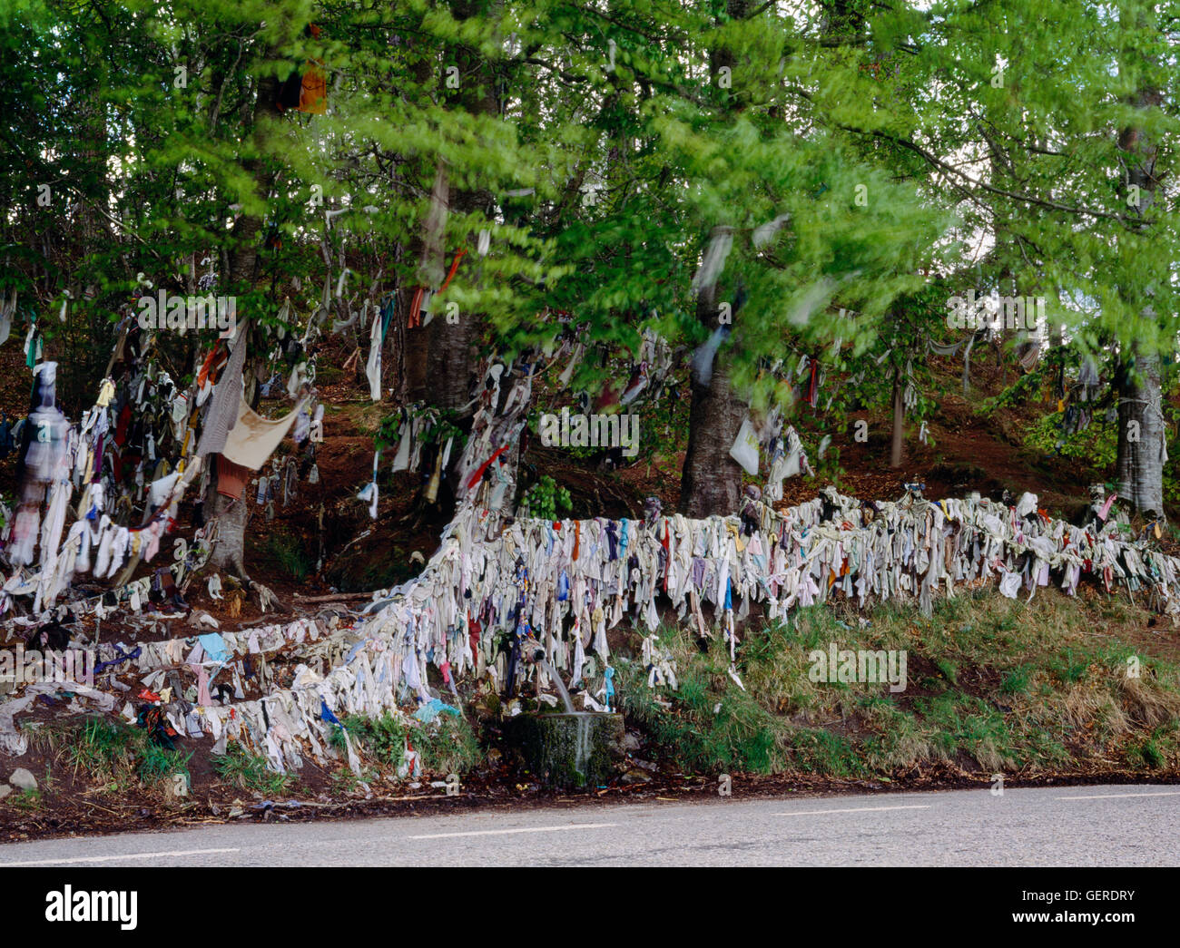 Munlochy clouty well: strips of cloth & children's clothes festoon trees, fence & outflow basin beside A832 on the Black Isle, N of Inverness. Stock Photo