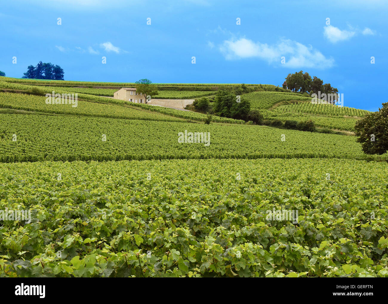 Saint Emilion Gironde France Vineyards Winemakers Houses Chateaux Rows of Vines Stock Photo