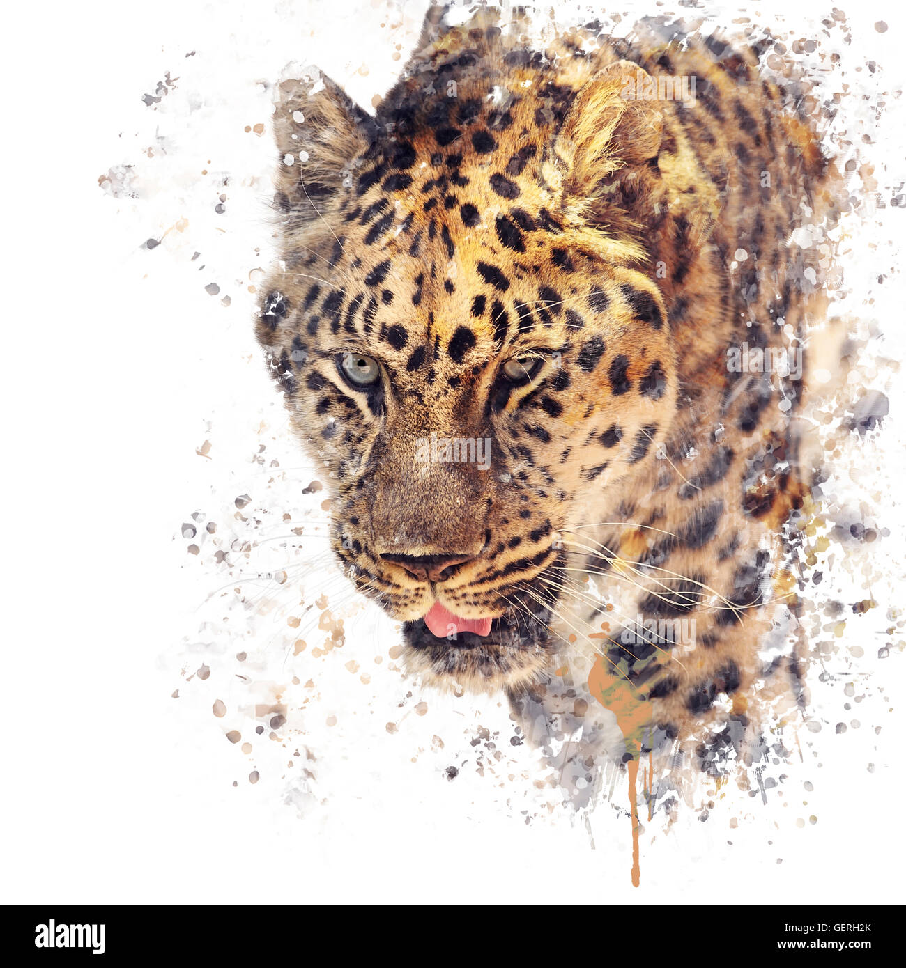 Digital painting of Leopard portrait Stock Photo - Alamy