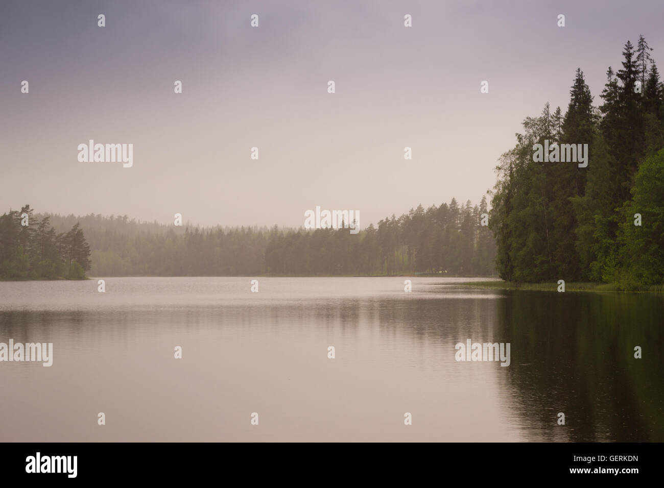 Calm on the lake. The pond is surrounded by mixed forest. Scandinavian summer cloudy weather in early morning. Finland, Hamina Stock Photo
