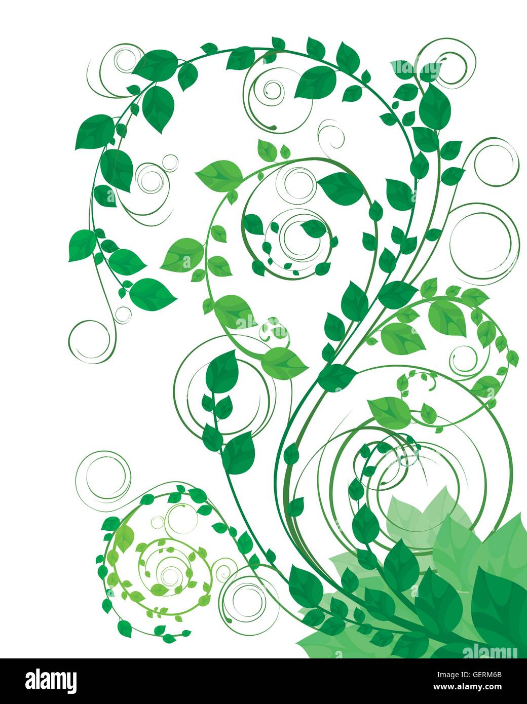 Vector illustration of a green floral background Stock Vector Image ...