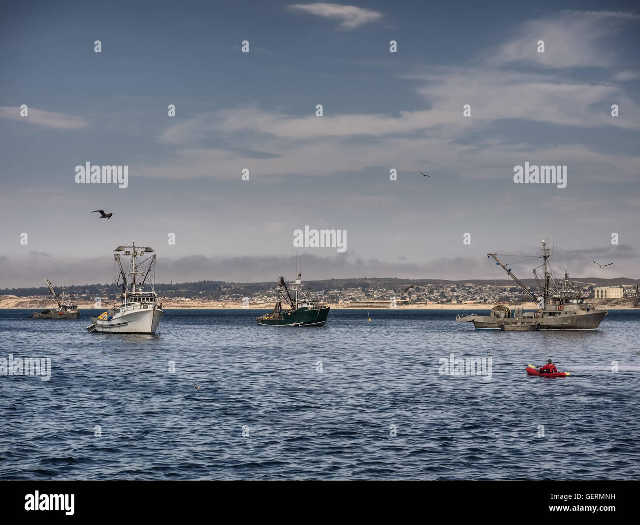 Fishing vessels in Monterey harbor, California USA Stock Photo