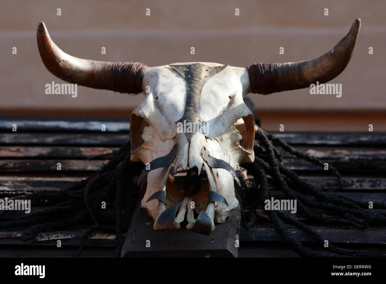 313 fotos de stock e banco de imagens de Skull And Bones Society