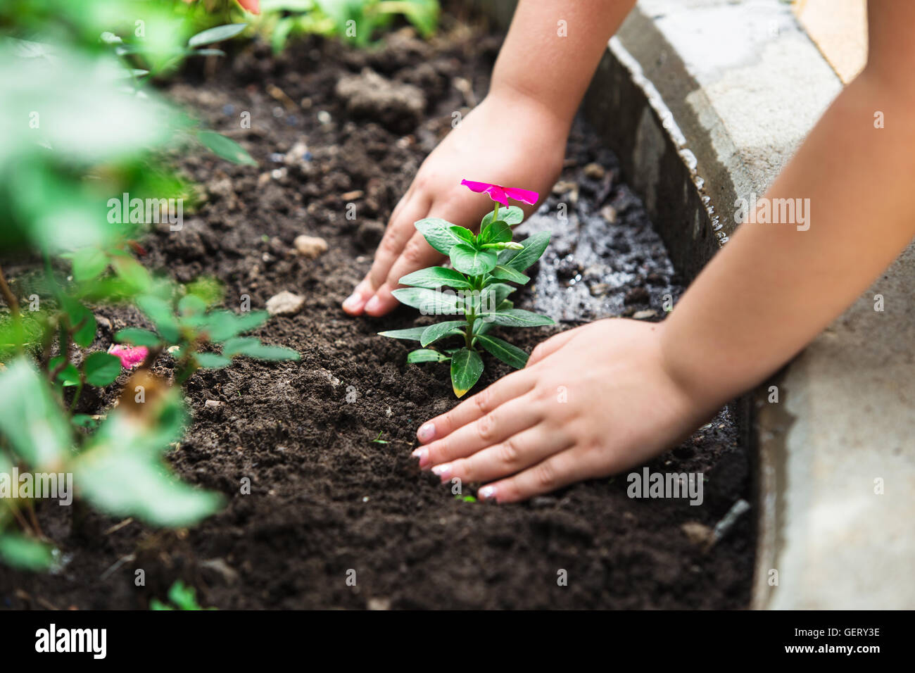 Маленькая пересадка. Посадка цветов. Высадка рассады в саду. Дети сажают цветы. Сажание растений.