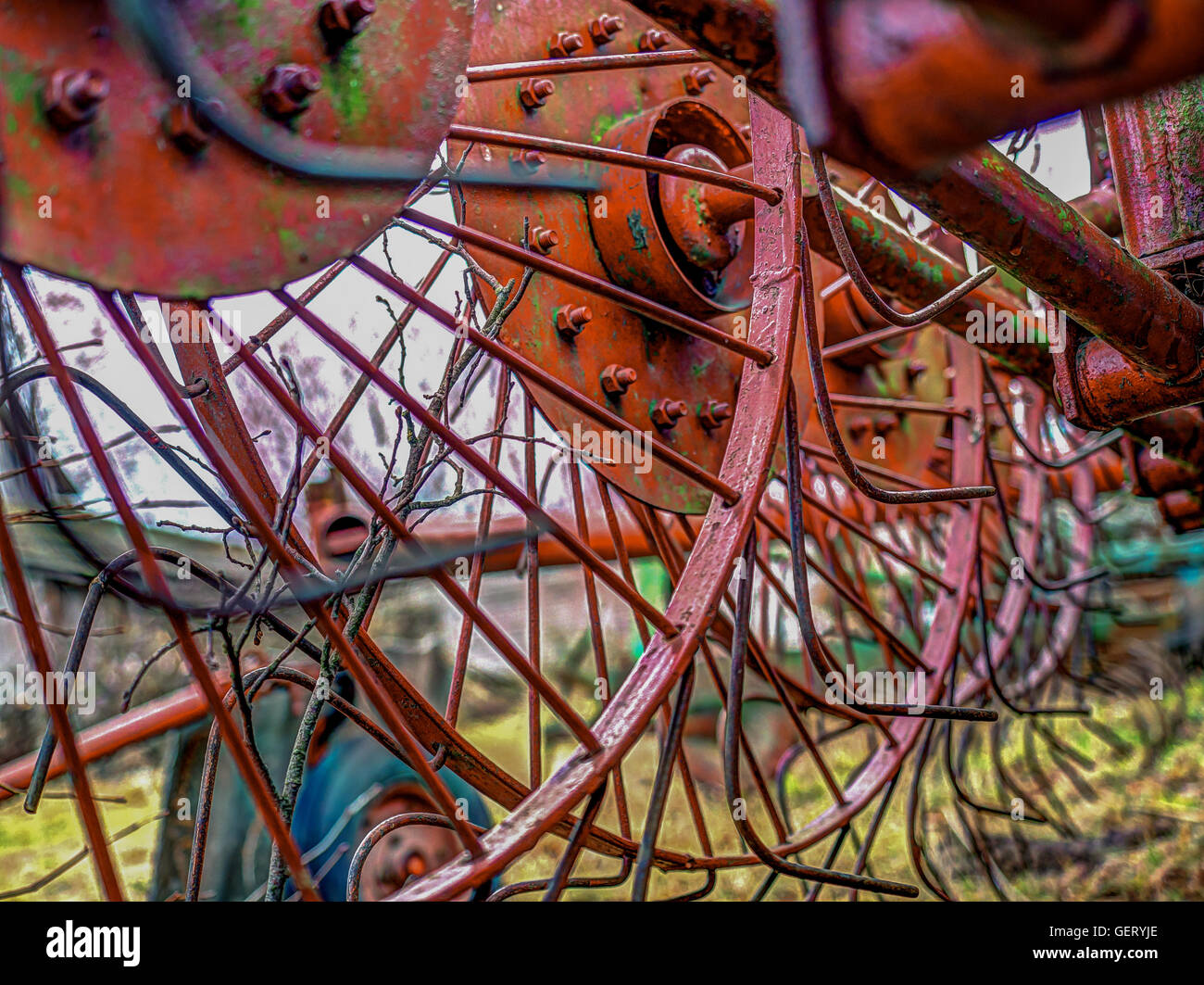 An agriculture machine being used to spread out hay Stock Photo Alamy