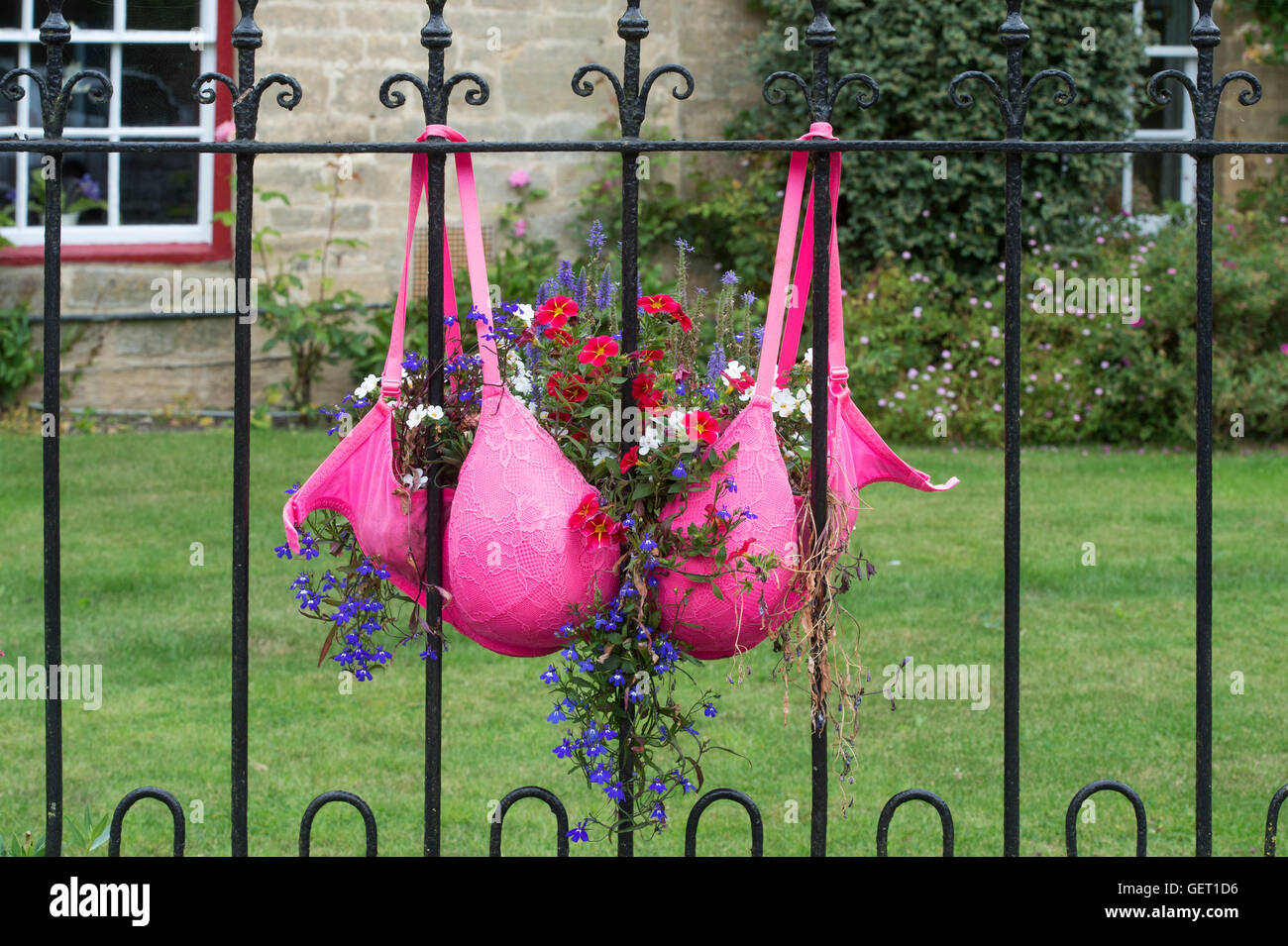 Pink Bra flower planter hanging on metal railings in the Cotswolds. England  Stock Photo - Alamy