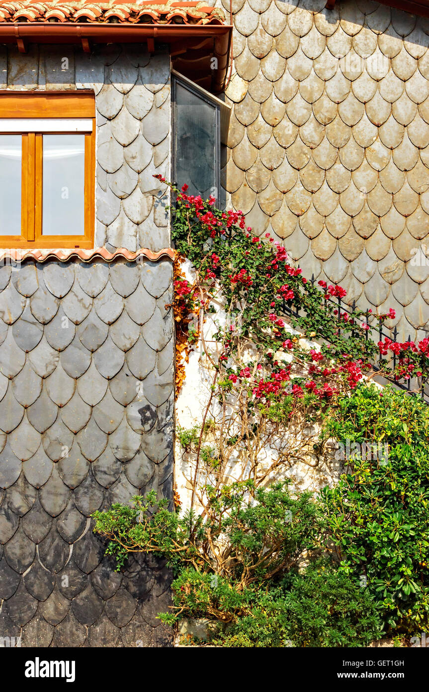 Typical slate house in San Vicente de la Barquera, Cantabria, Spain.Vertical image. Stock Photo