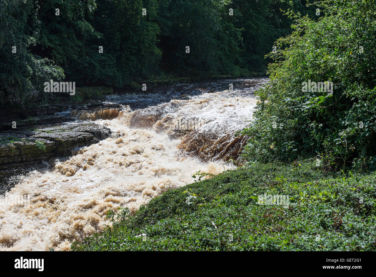 The Beautiful Lower Aysgarth Falls on the River Ure in Wensleydale