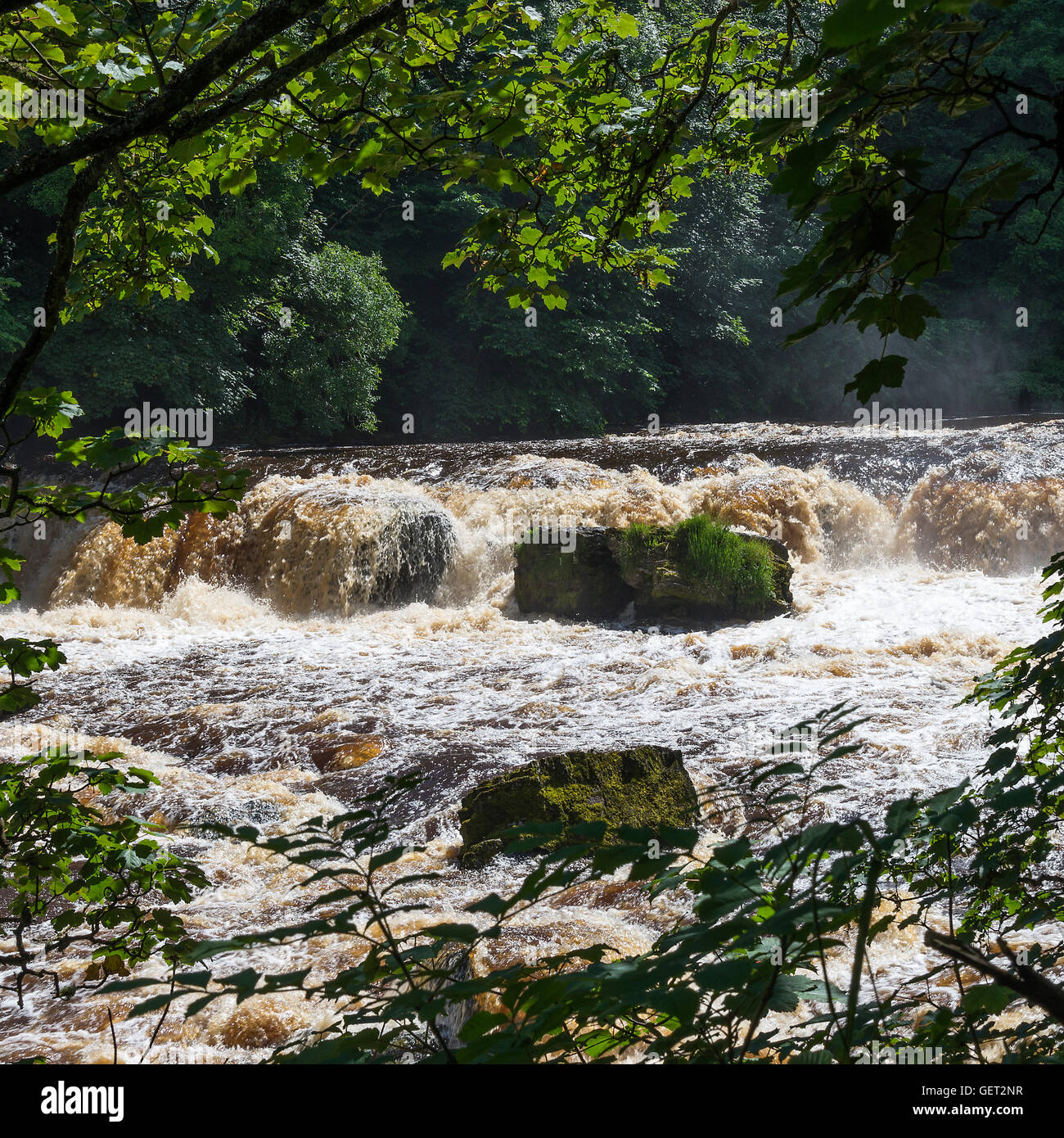 The Beautiful Upper Aysgarth Falls on the River Ure in Wensleydale Yorkshire Dales National Park England United Kingdom UK Stock Photo