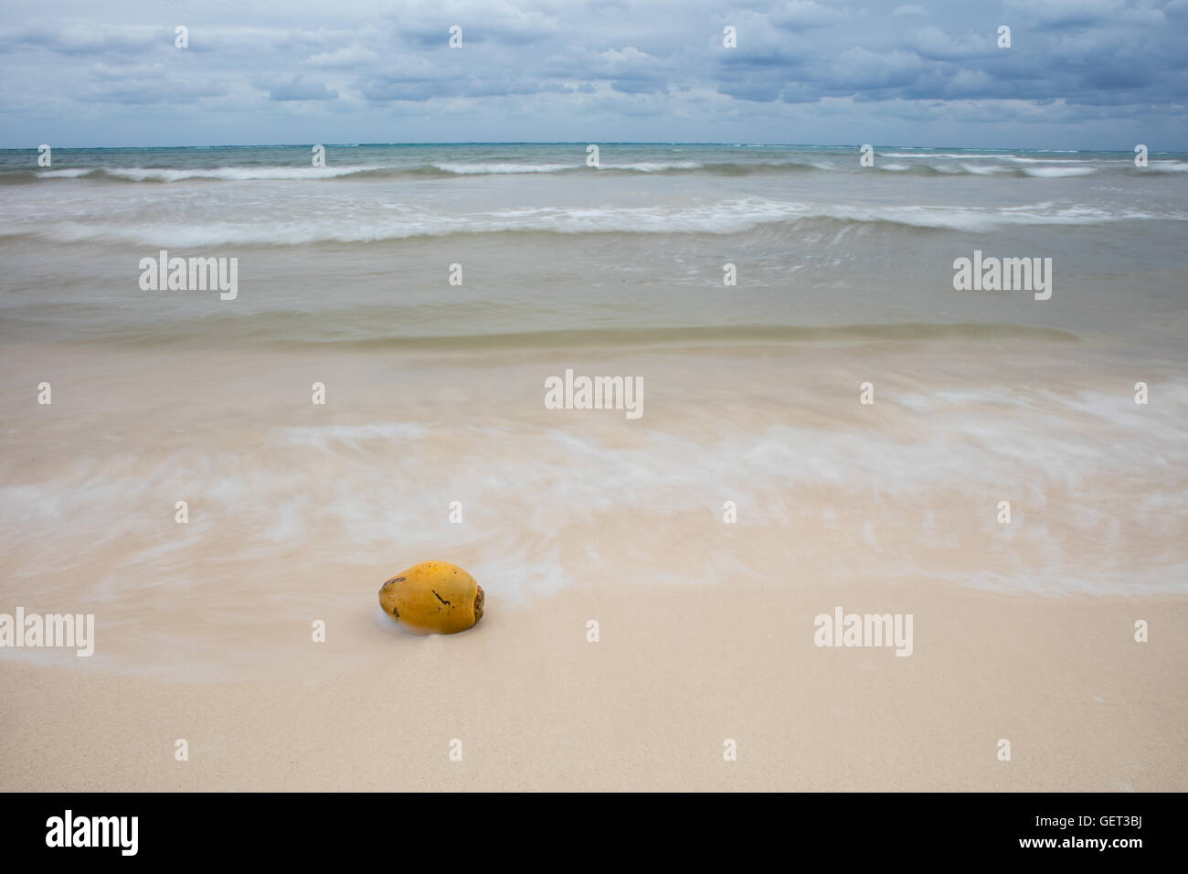 A coconut has washed ashore on a remote beach in the Caribbean Sea