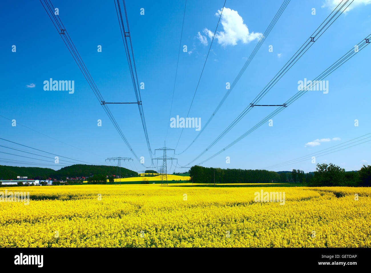 High voltage power lines over rapeseed field Stock Photo