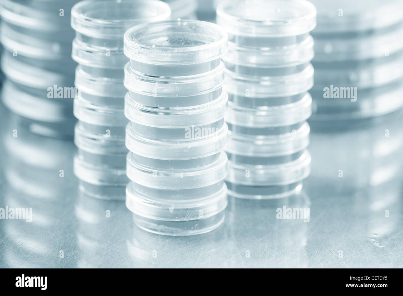 Petri dish with bacteria colonies Stock Photo Alamy