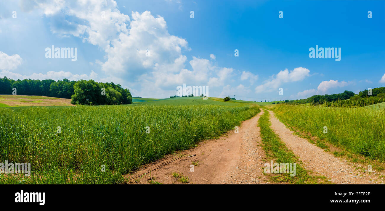 sunny green field panorama Stock Photo - Alamy