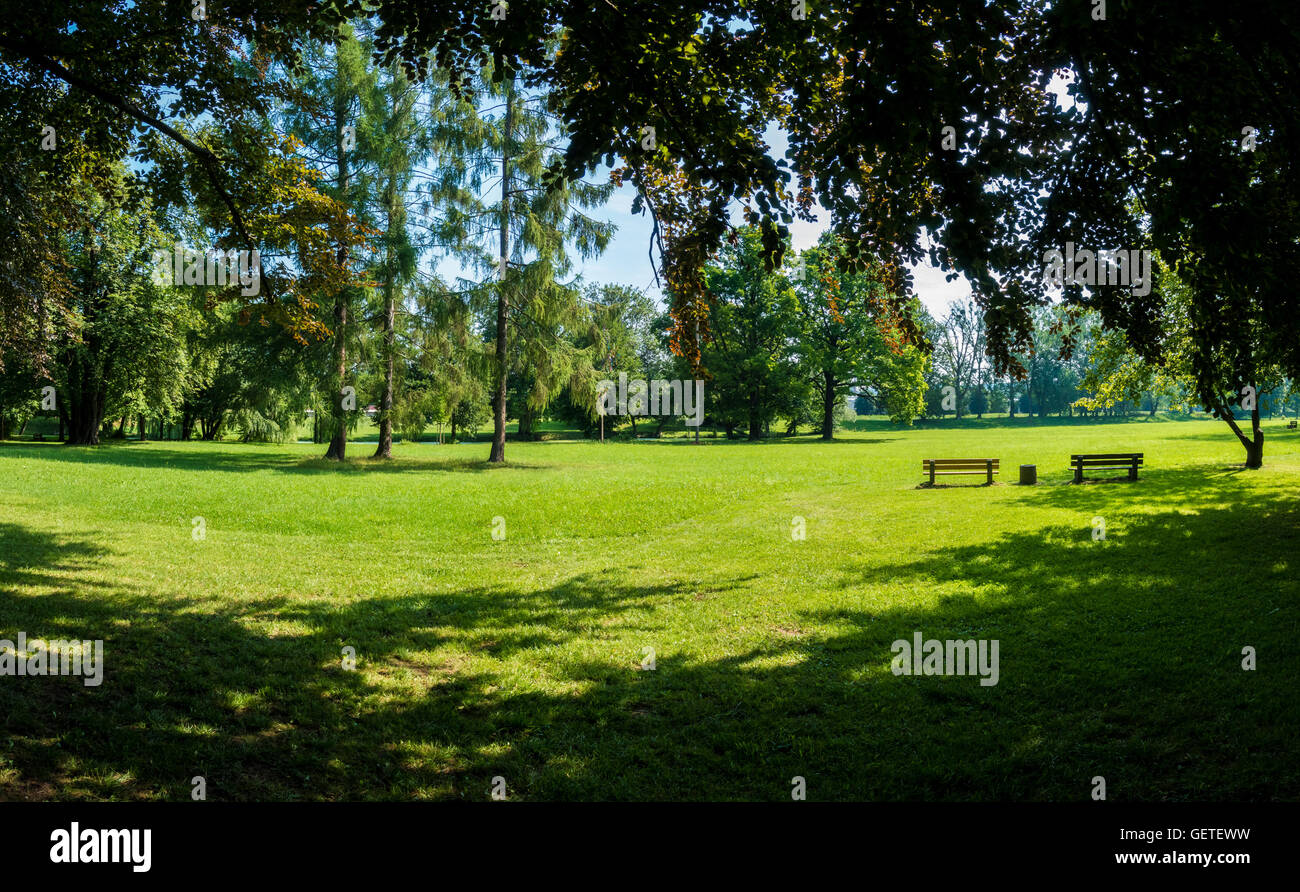 sunny summer park with trees and green grass Stock Photo