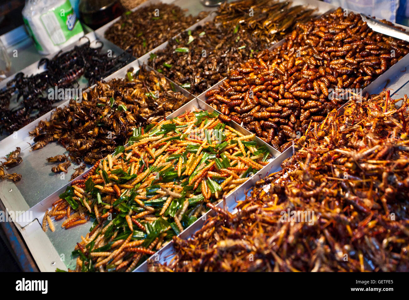 Cooked scorpions and other invertebrates available to eat as street food from food stalls on the Khao San road in Bangkok. Stock Photo