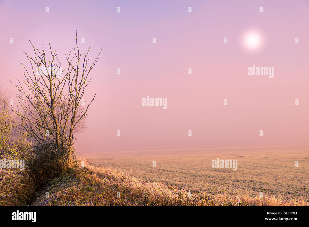 Fields in the fog hi-res stock photography and images - Alamy