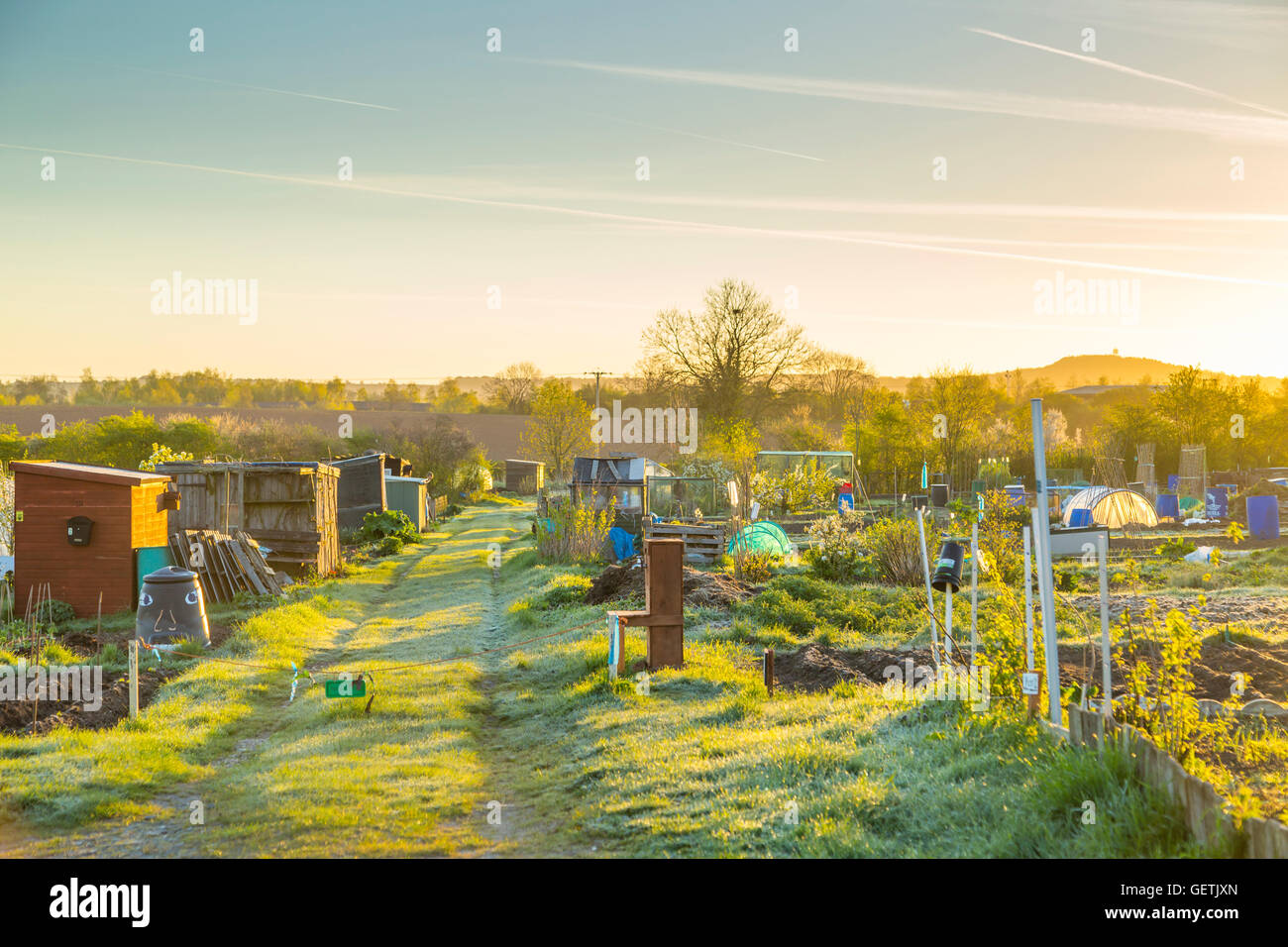Village allotments early in the morning. Stock Photo