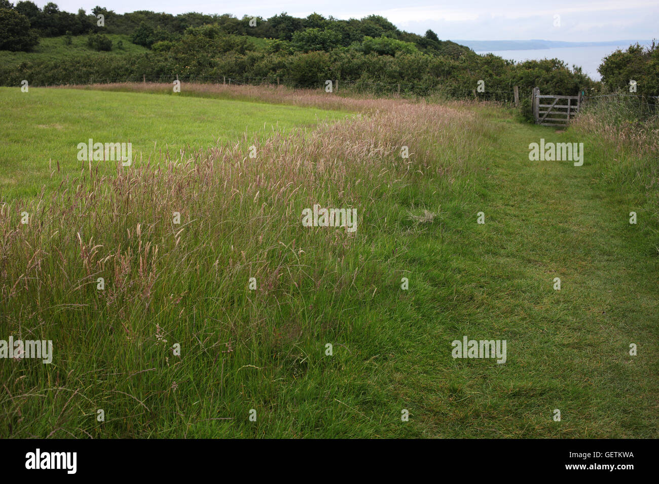 Pembrokeshire Coast Path National Trail from Tenby to Saundersfoot