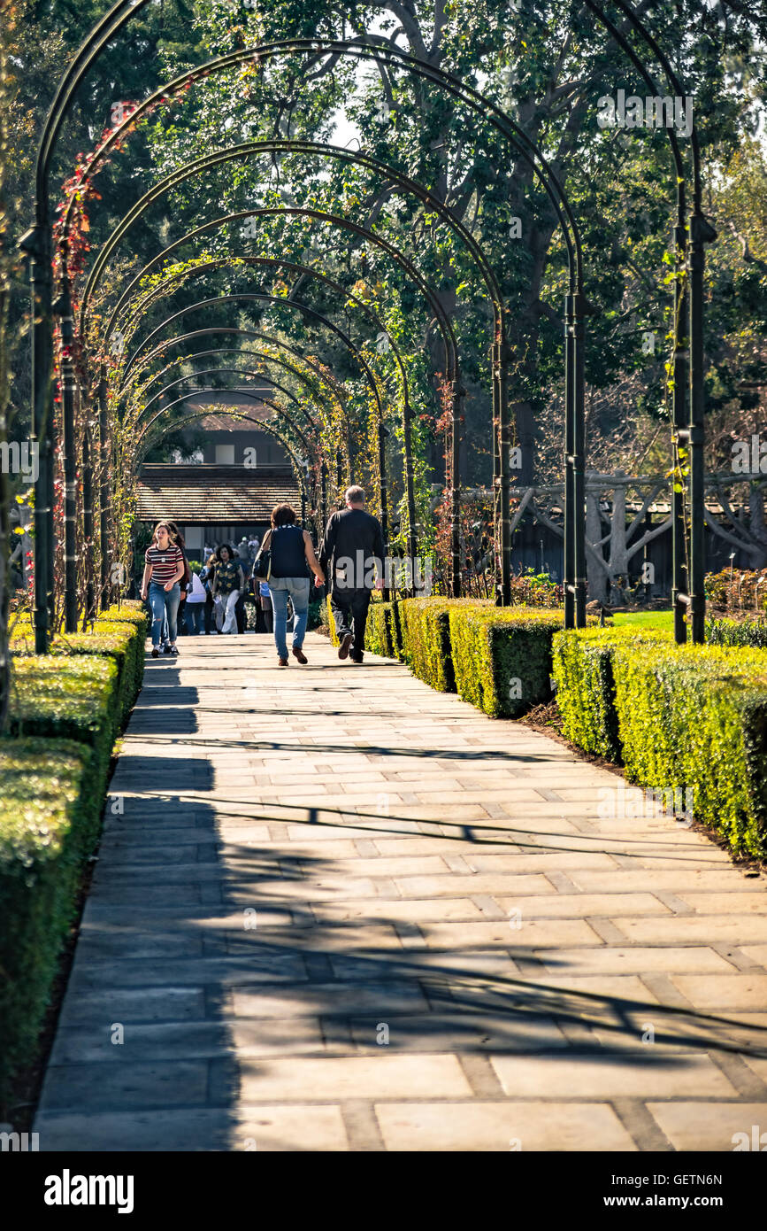Rose Gardens at The Huntington Library, Art Collections and Botanical
