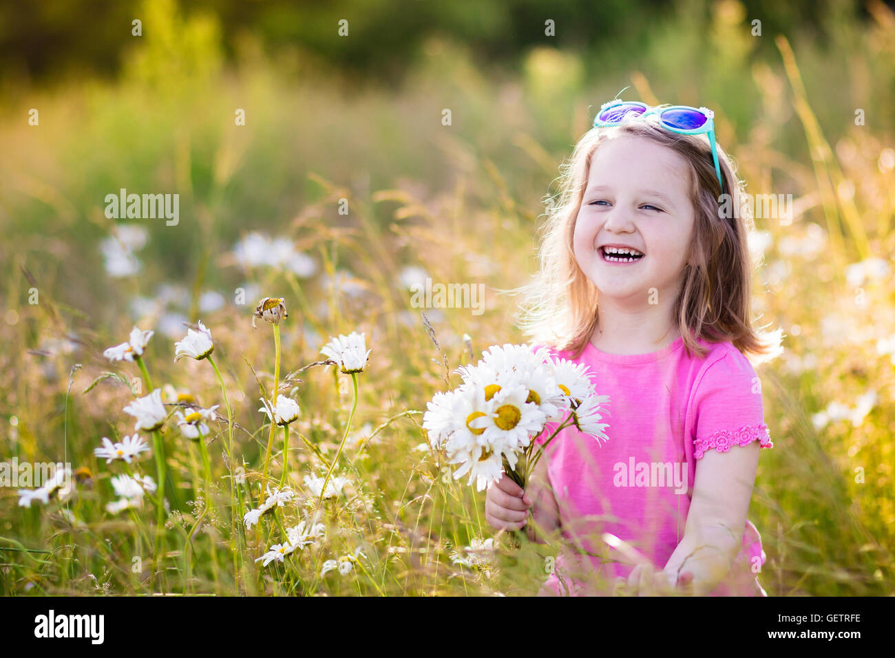 Child picking wild daisy flowers in field. Kids play in a meadow and pick flower bouquet on