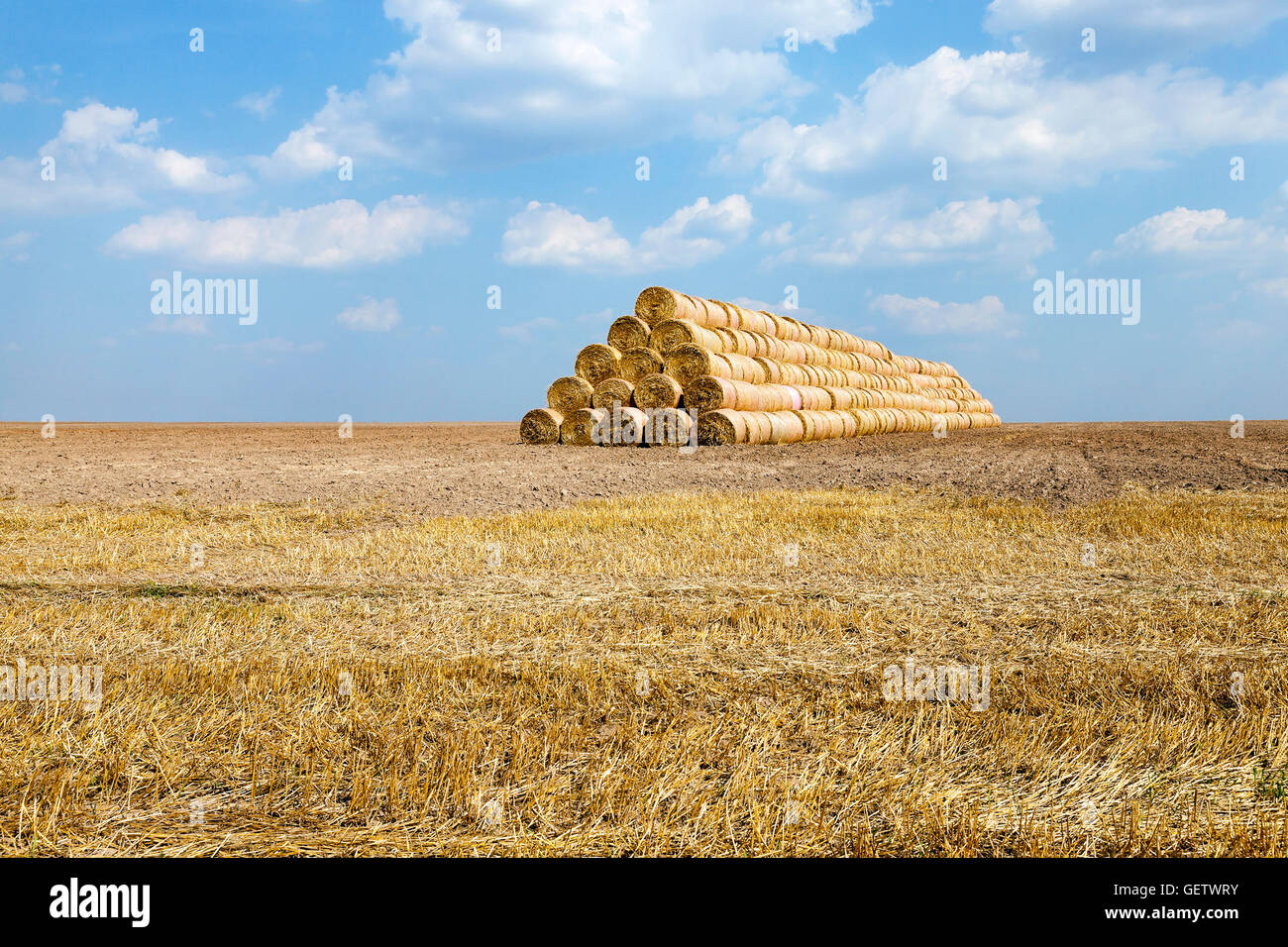 cereal harvest field Stock Photo - Alamy
