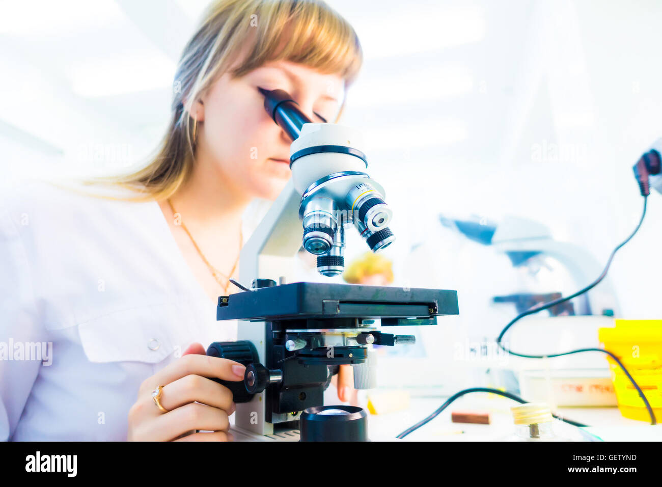 Girl technician in a medical laboratory, microscope and petri dish Stock Photo