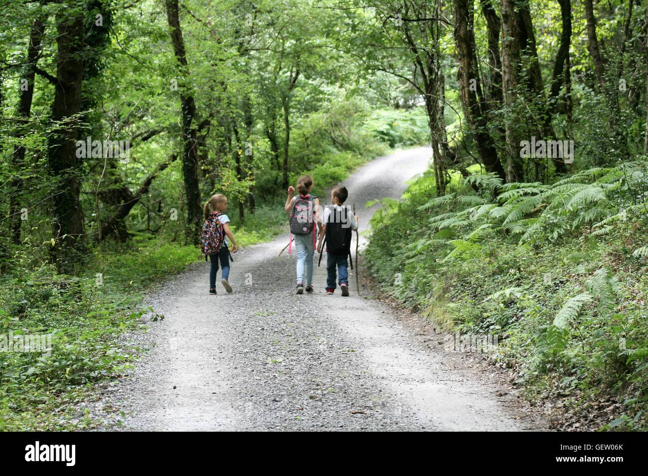 three children walking through woods Stock Photo