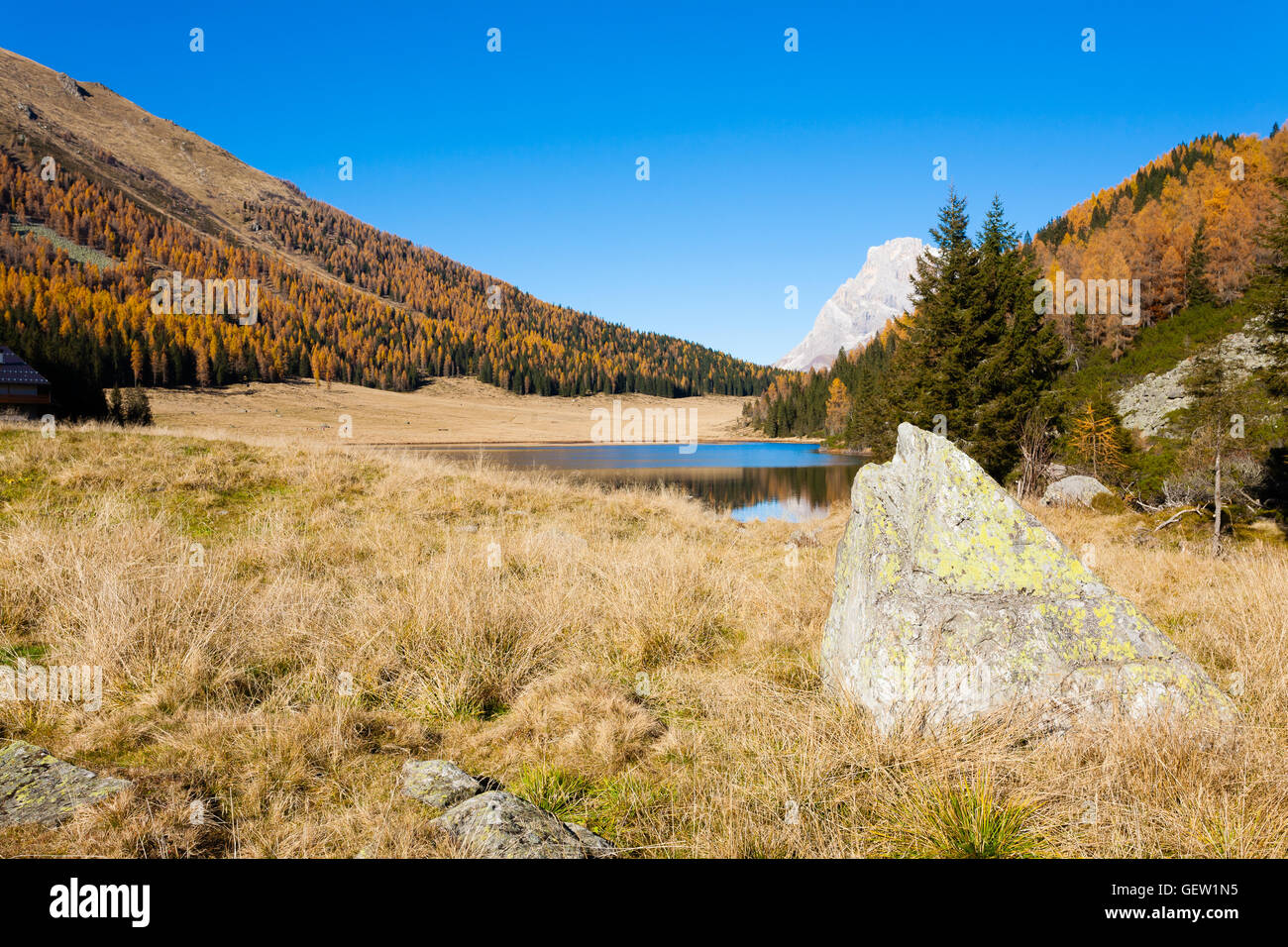 Panorama from 'Calaita Lake'. Italian alps landscape. Autumn view with yellow pines Stock Photo