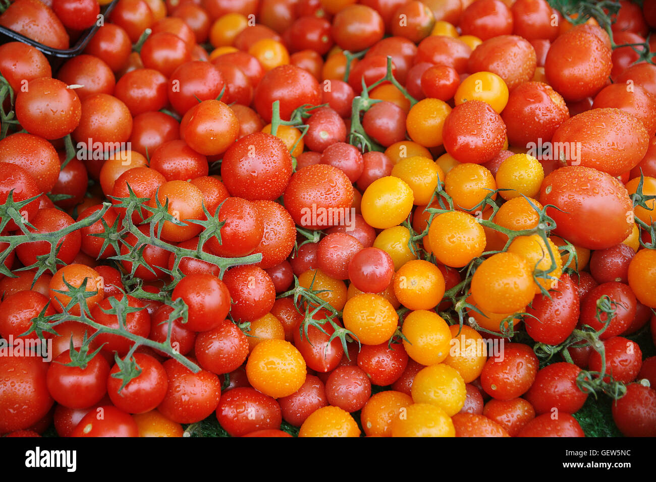 Friarsgate winchester hires stock photography and images Alamy