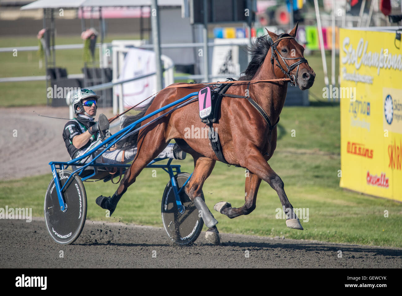 Harness racing driver Johnny Takter during a summer meeting at Axevalla  harness racing track Stock Photo - Alamy