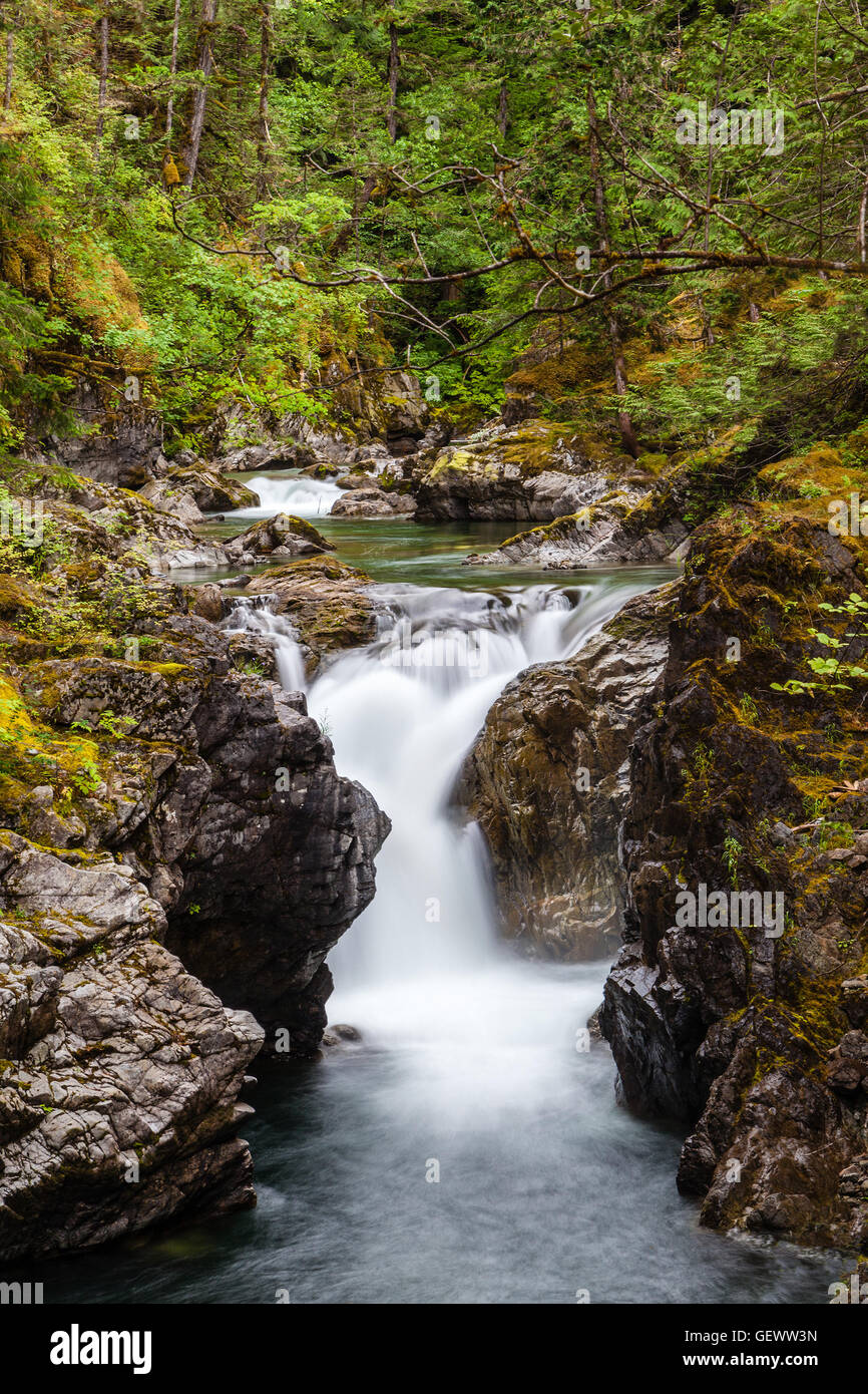 Little qualicum falls hires stock photography and images Alamy