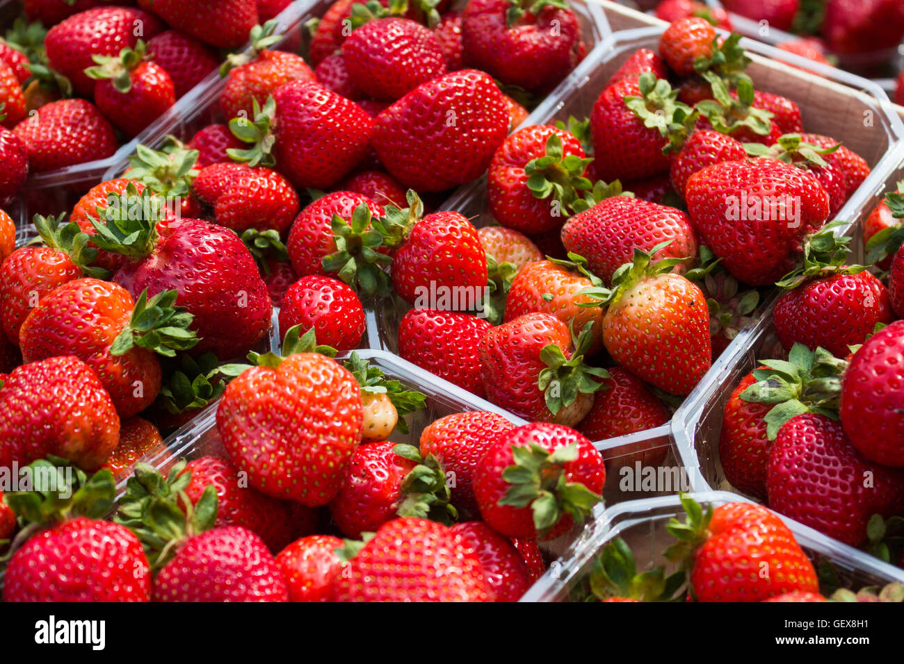 strawberries at market stand strawberry fruits in boxes Stock Photo