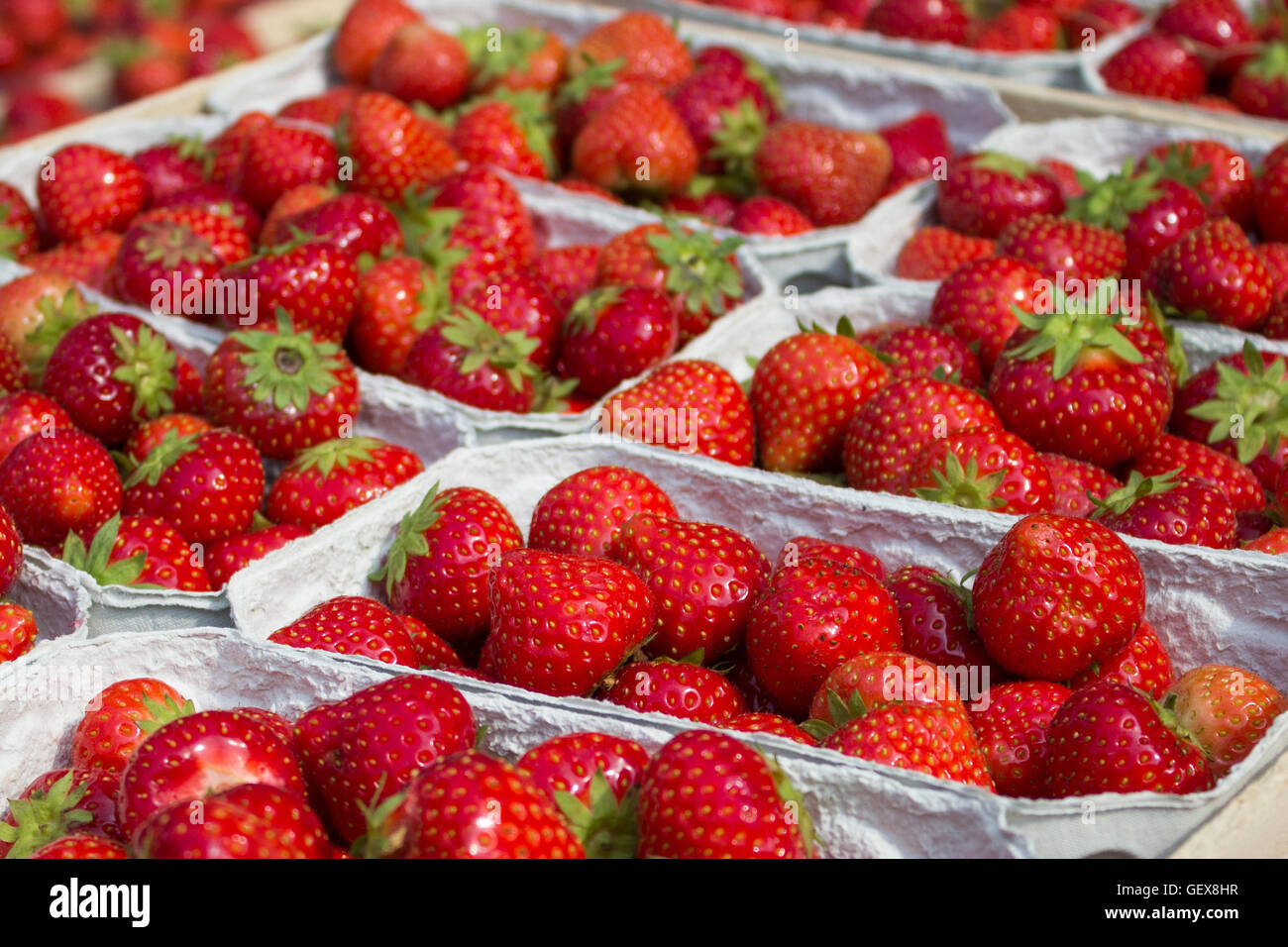 strawberries at market stand - strawberry fruits in boxes / baskets Stock Photo