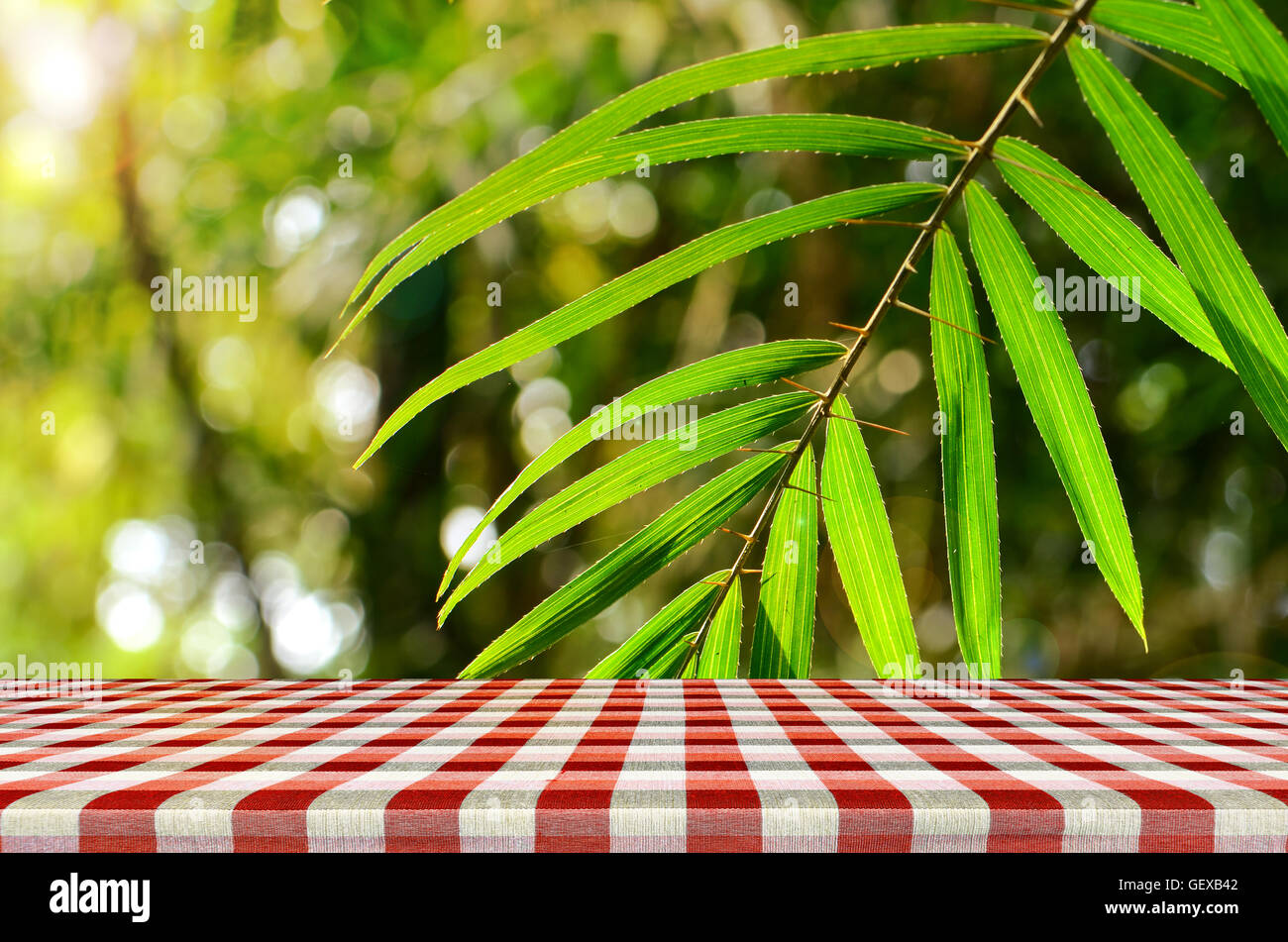 Outdoor picnic background in summer sun light. Stock Photo