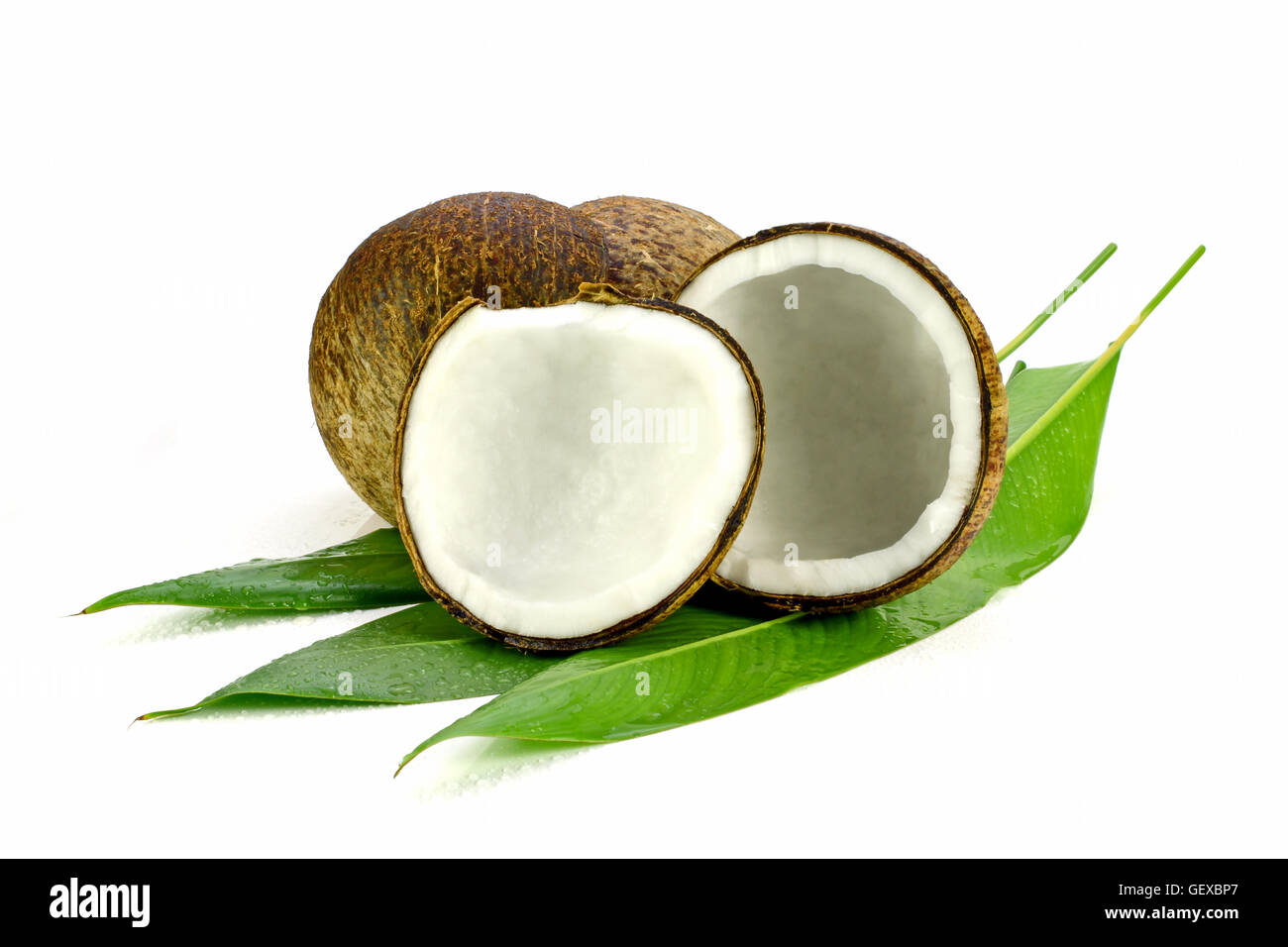 Coconut (Cocos nucifera). Cut coconut shell with fresh organic coconut kernel redy for make coconut milk and cold press coconut  Stock Photo