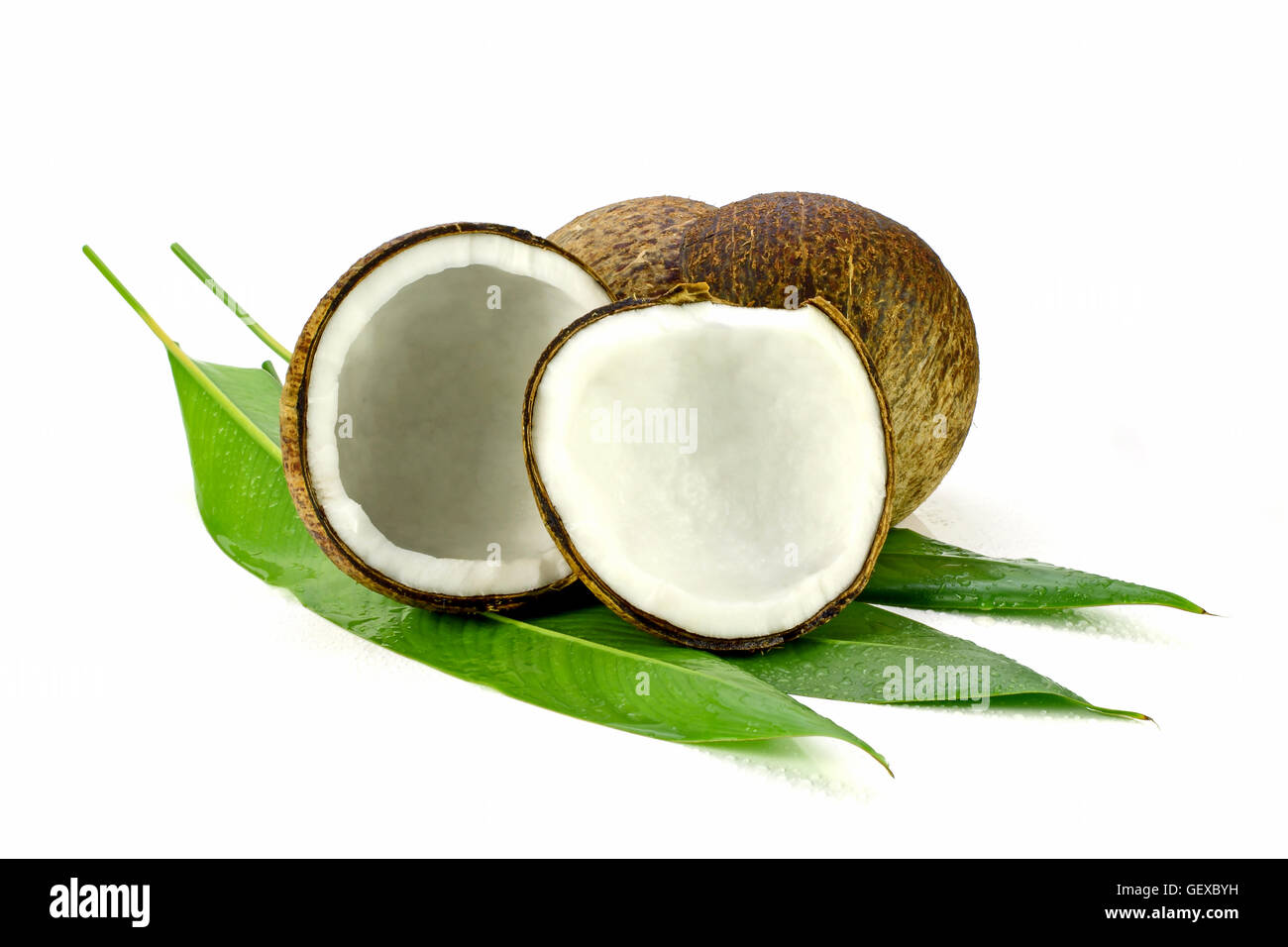 Coconut (Cocos nucifera). Cut coconut shell with fresh organic coconut kernel redy for make coconut milk and cold press coconut  Stock Photo