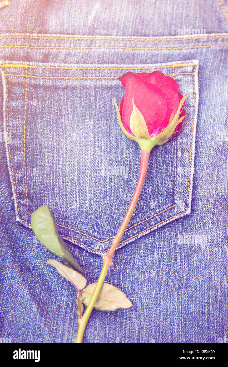 red rose on jeans fabric background patel tone Stock Photo