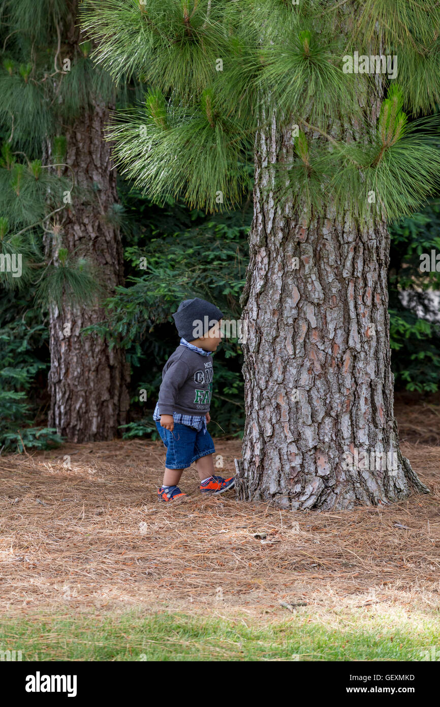 young boy, playing, hide-and-seek, Sonoma State University, city, Rohnert Park, Sonoma County, California Stock Photo