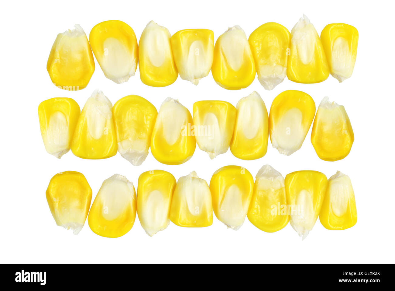 Rows of Fresh Sweet Corn Kernels on White Background Stock Photo